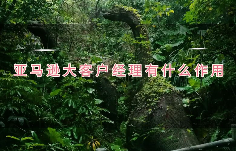 亚马逊大客户经理有什么作用