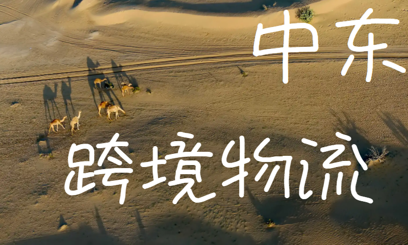 中东跨境物流