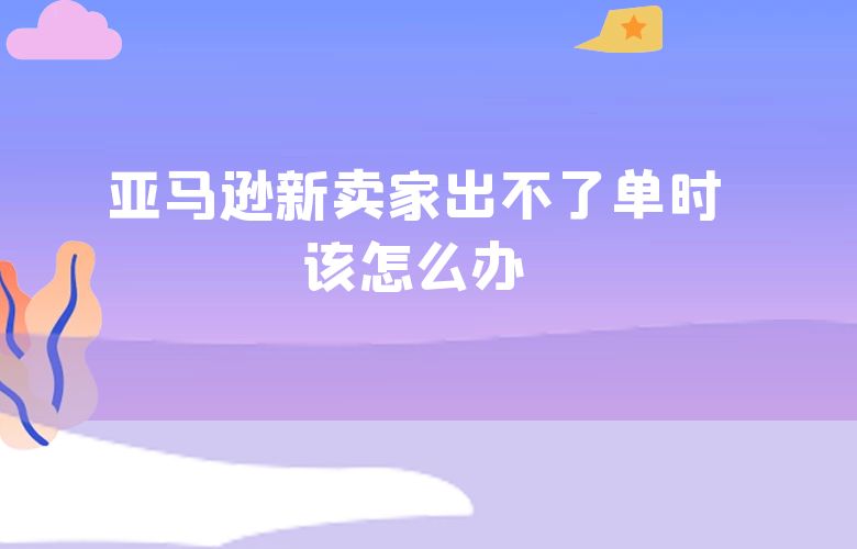 亚马逊新卖家出不了单时该怎么办
