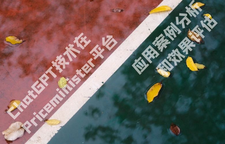 ChatGPT技术在Priceminister平台上的应用案例分析和效果评估
