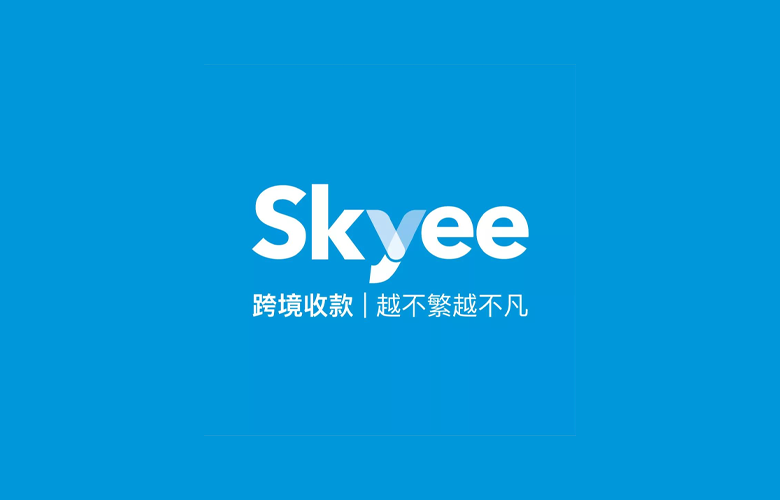 资金管理平台——Skyee