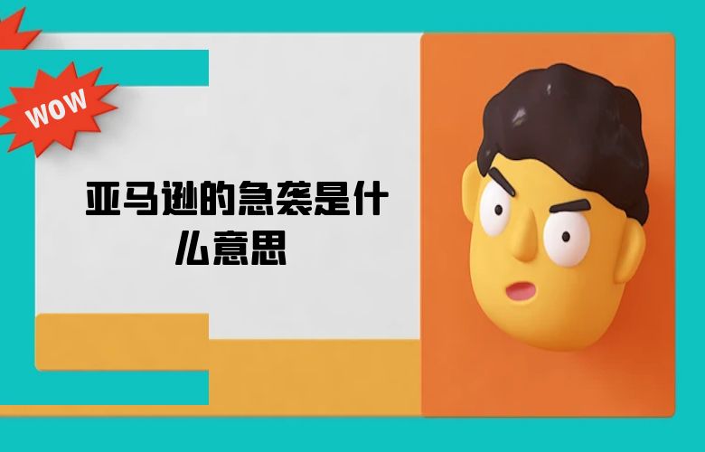 亚马逊的急袭是什么意思 