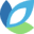 Evoluted Shopify开发