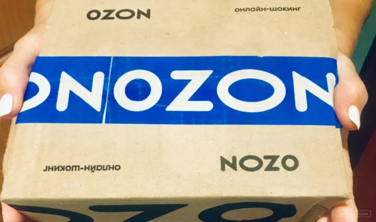 俄罗斯Ozon真的值得做吗？