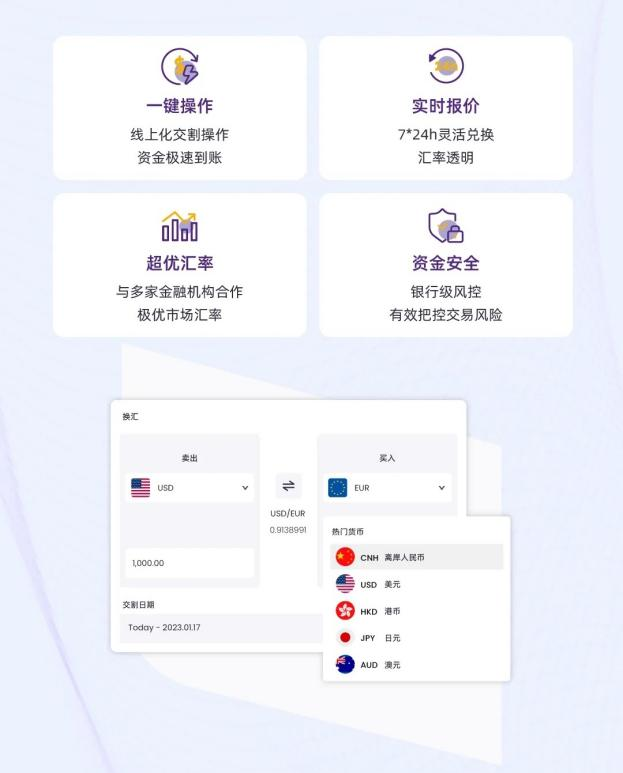 汇兑管理——专业灵活的汇兑方案,系统性管理汇率风险