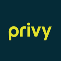 Privy独立站促销